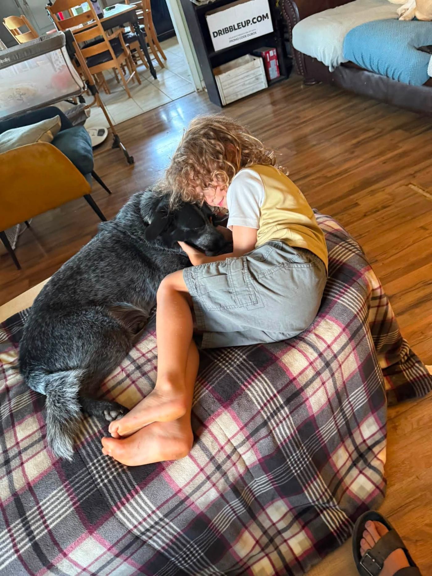 Child snuggling a blue heeler on a blanket inside the home